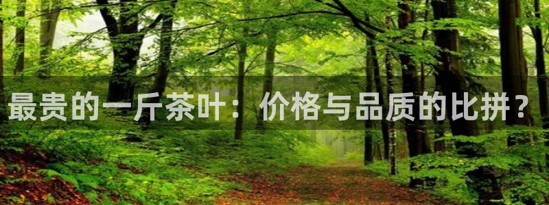 金年会官方客服电话