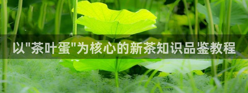 金诚集团年会