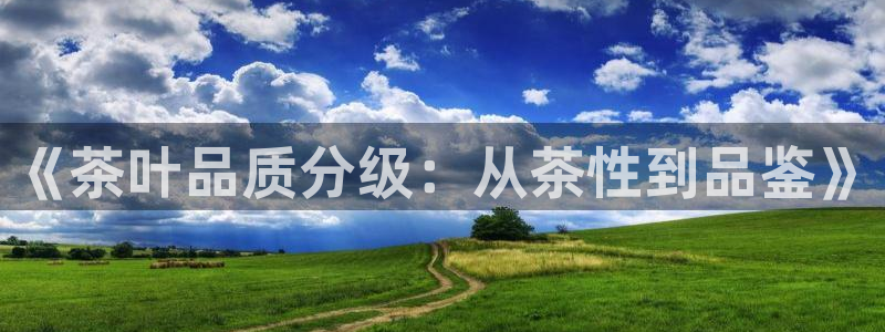 宝金年会