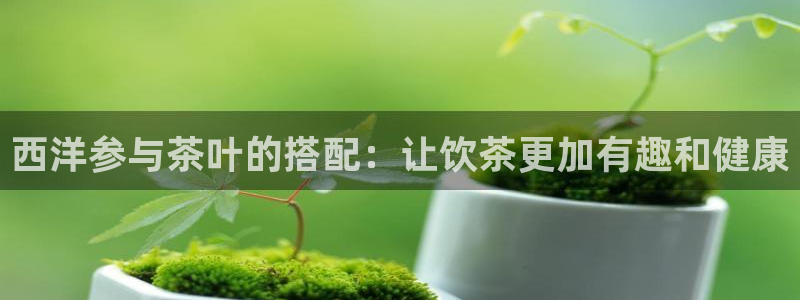 金年会取款