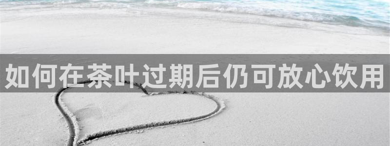 陆金所 年会