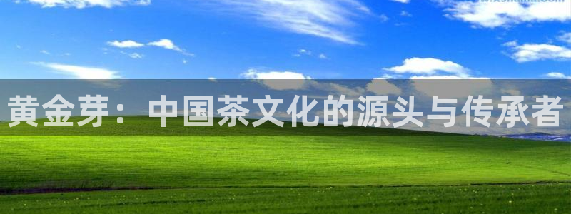 金年会官网app下载