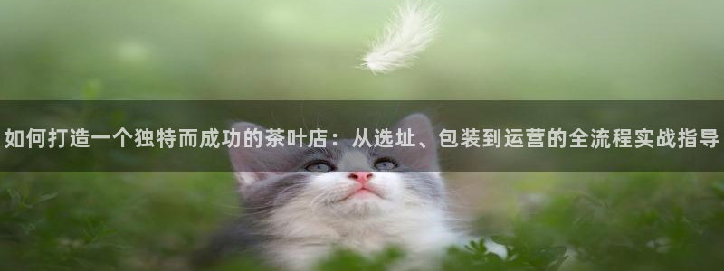 金年会官网入口