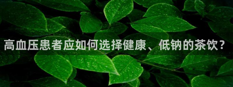金年会国际