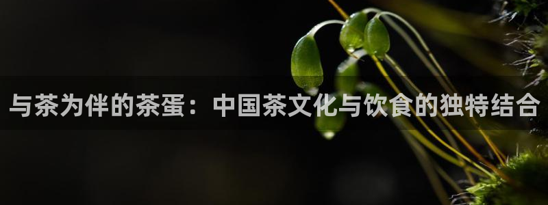 金年会娱乐提现
