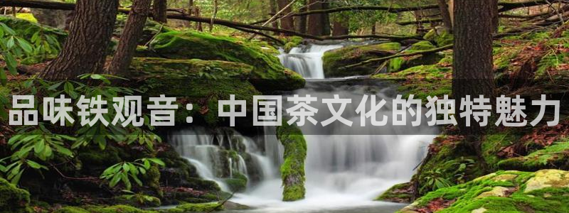 金年会体育app官网