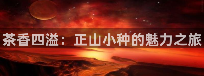 金年会官方客服电话