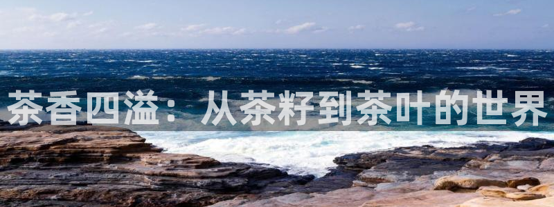 陆金所 年会