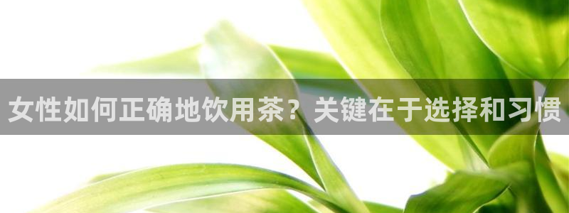 金年会赌博