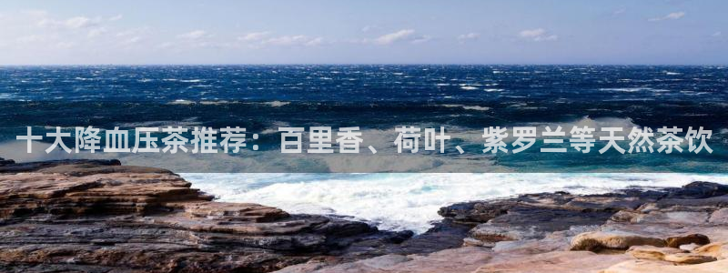 金年会黑平台
