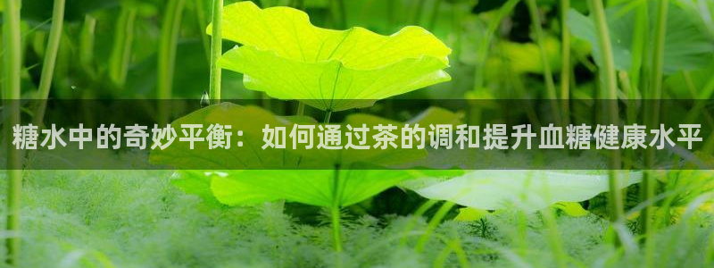 类似金年会