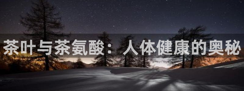 金年会软件之家下载