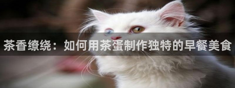 金年会娱乐和马竞