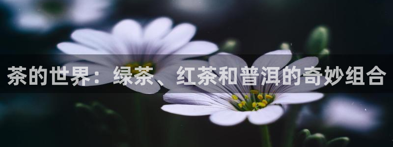 金立年会