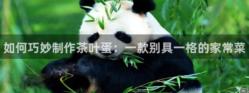 澳门与金年会的关系