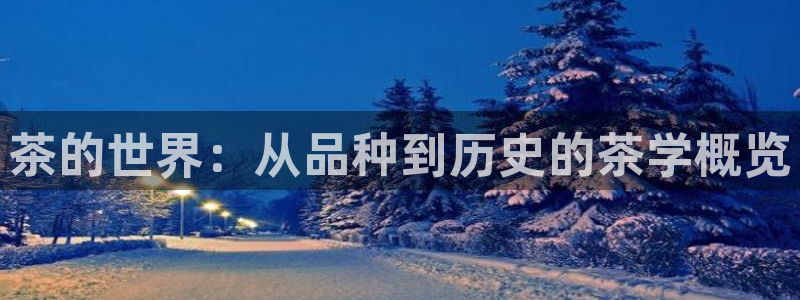金年会现金网