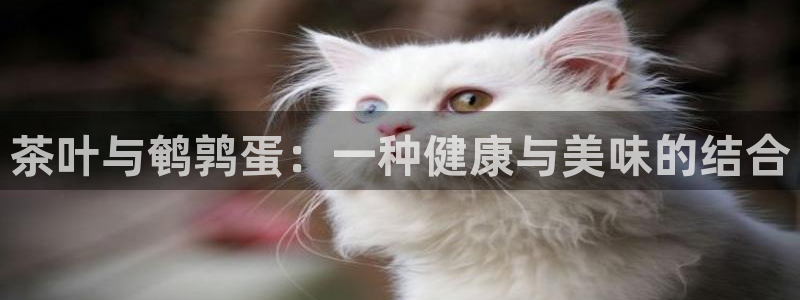 世纪金源年会
