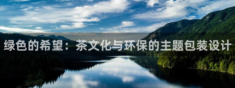 金年会电子游戏