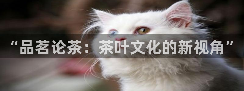 金年会在线