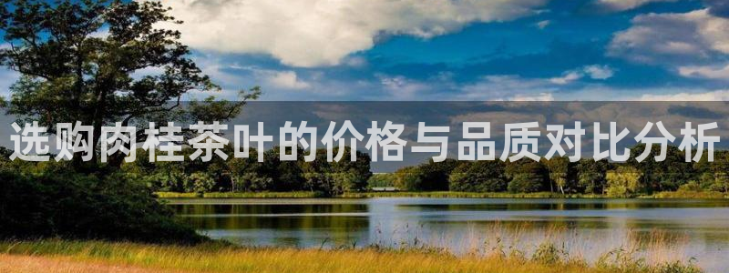 金年会娱乐官网
