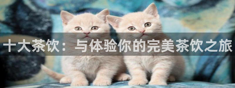 金年会全站app