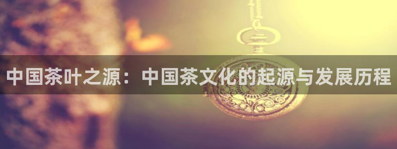 金科年会图片