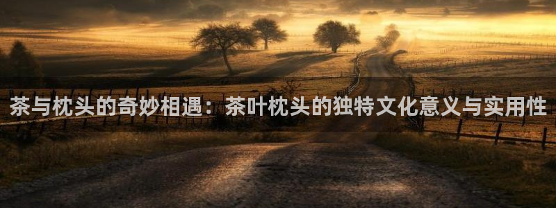 金年会彩票下载app
