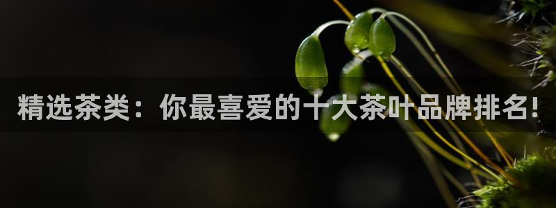 jinnian金年会