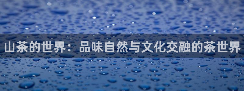 金年会棋牌