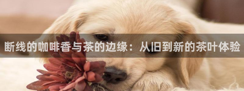 金年会这个平台
