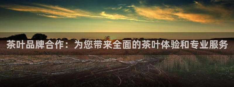 金年会电子