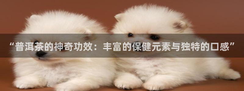 金年会app桌面
