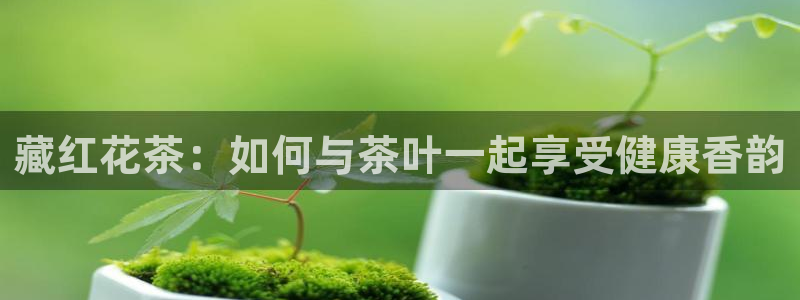 金年会网官网新版