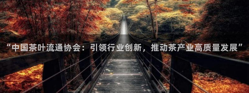 金年会入口