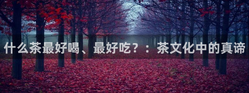 金年会网页