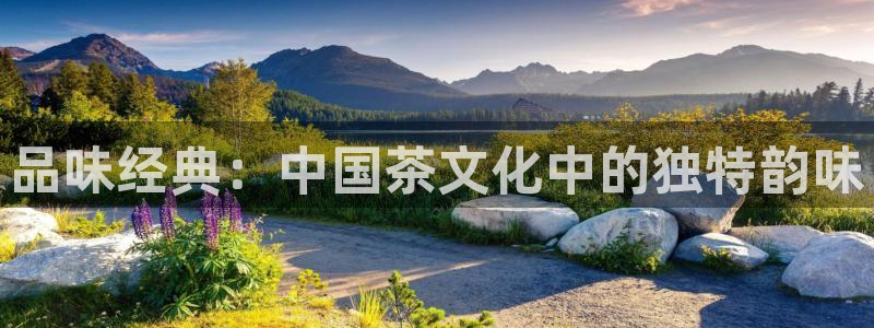 金年会入口