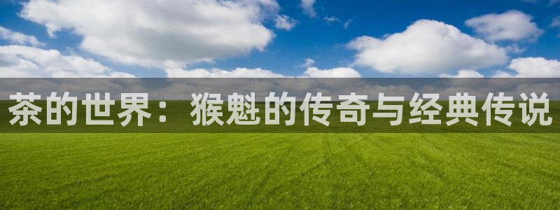 金年会官网登入