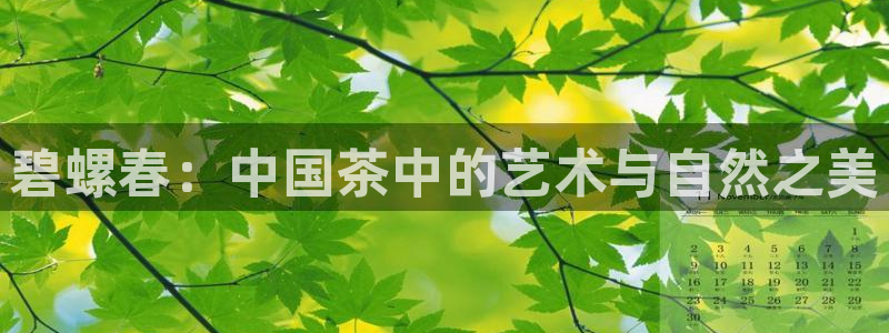 为什么搜索不了金年会