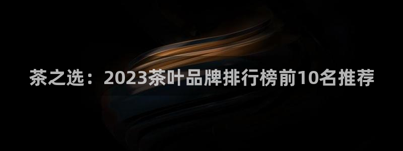 金年会电子