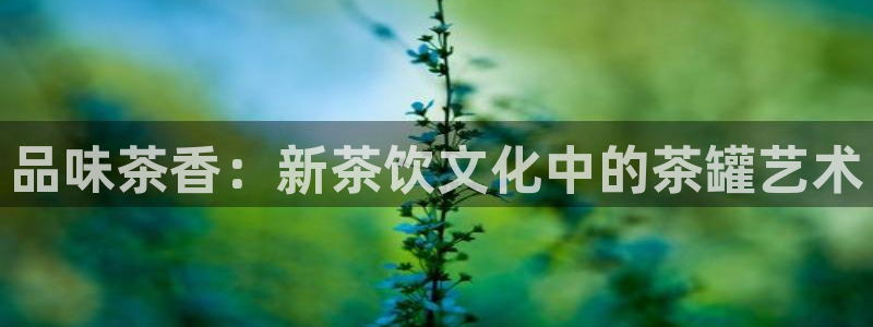 金年会官方入口