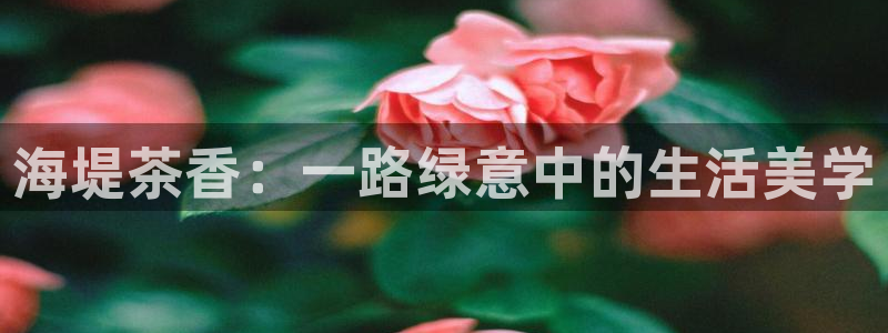 金诺利年会