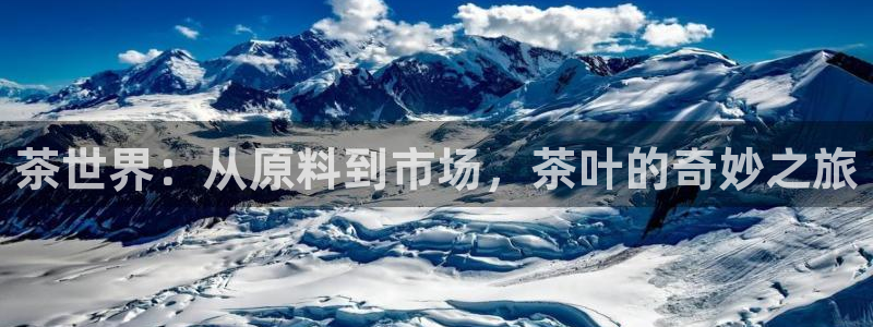 金年会体育下载