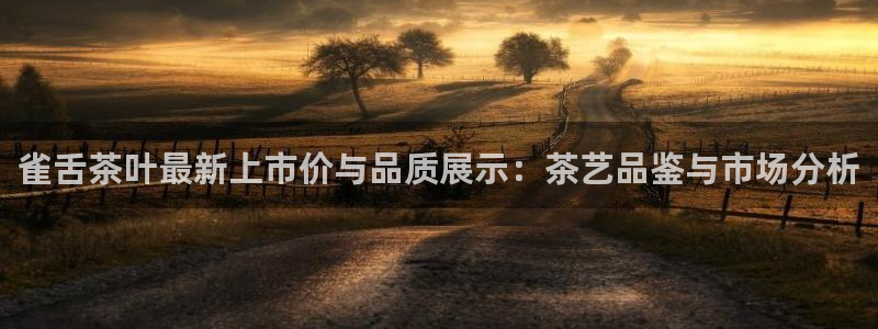 金年会体育官方下载