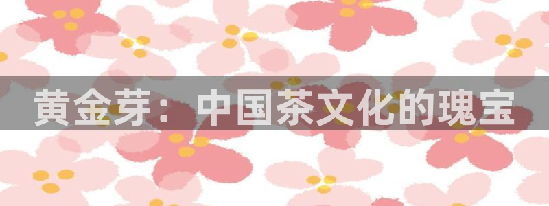 金年会黑网