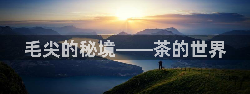 金年会体育平台