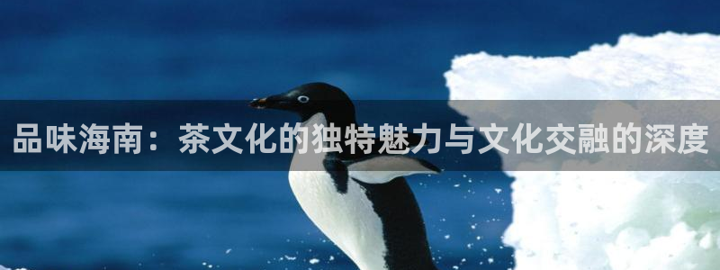金吉年会