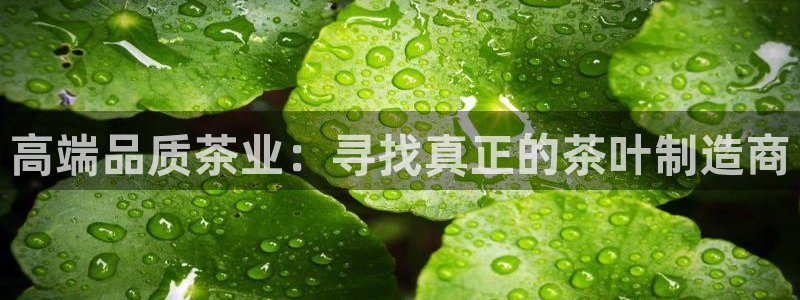 金年会平台是真的吗