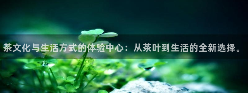 金年会官网入口