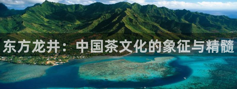 金年会入口网站
