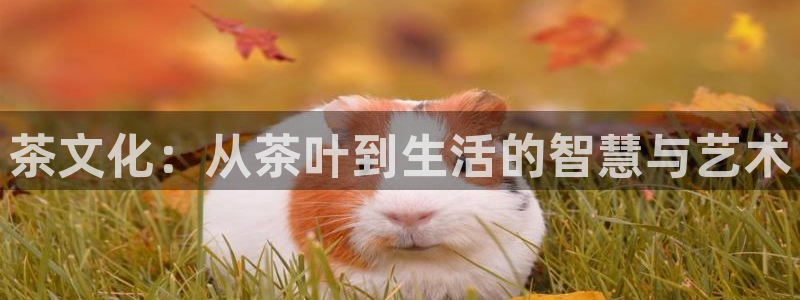 金年会电子游戏